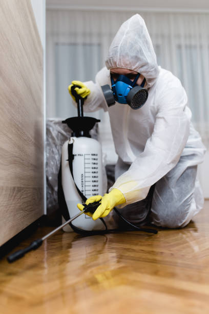 Professional Pest Control in Oakdale, NY